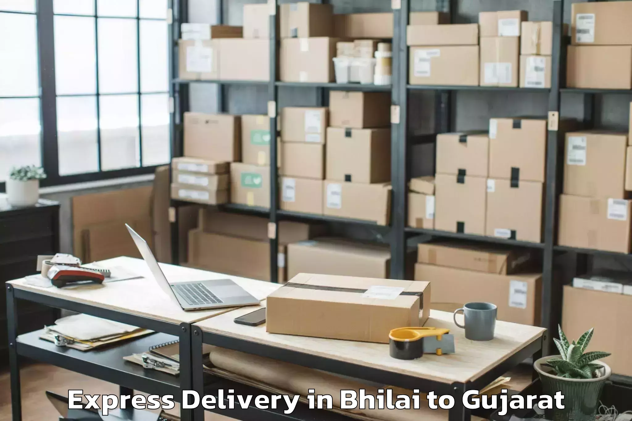 Quality Bhilai to Vapi Express Delivery